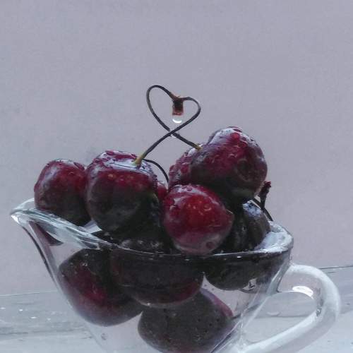 Photo #6439094