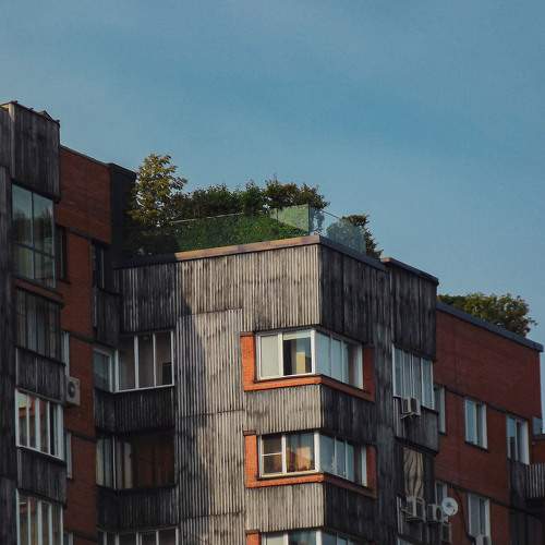 Photo #6439434