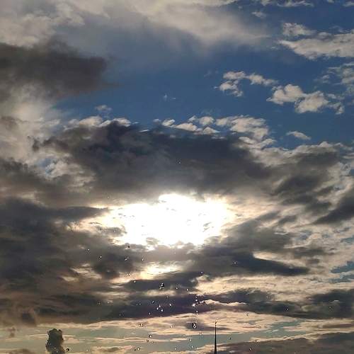 Photo #6439828