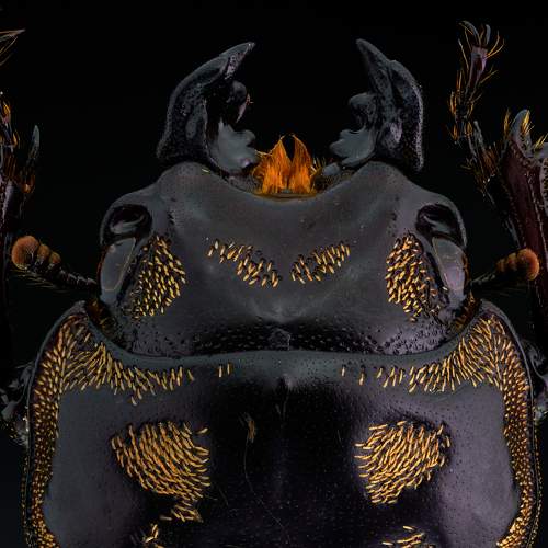 Photo #6440234