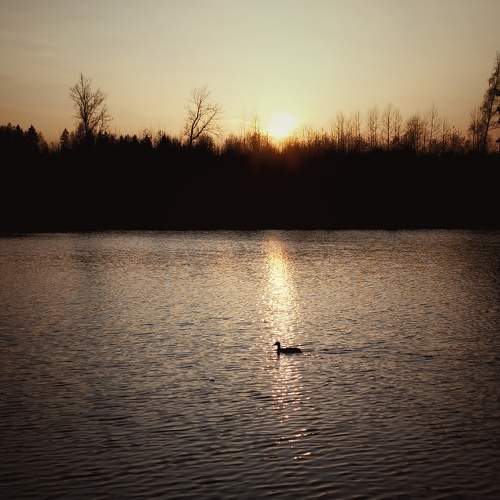 Photo #6440553