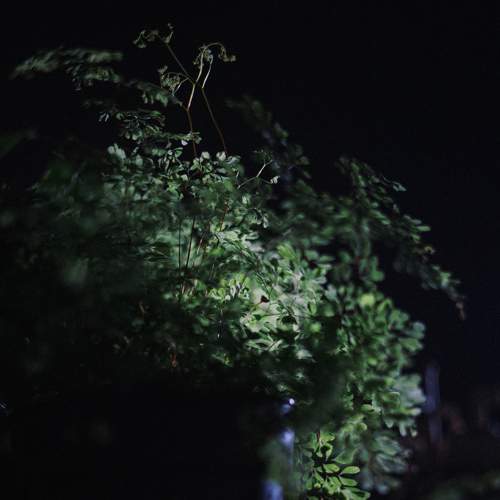 Photo #6441131