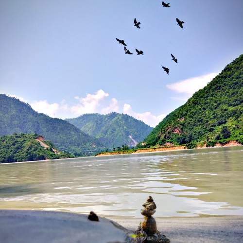 Photo #6441201
