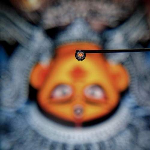 Photo #6441356