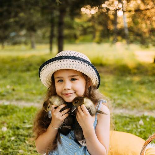 Photo #6441453