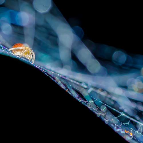 Photo #6441456