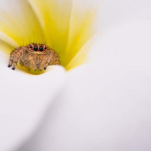 Photo #6441457