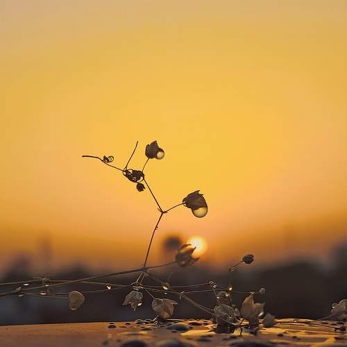 Photo #6441490