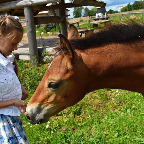Photo #6441733