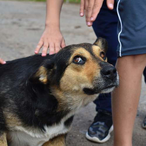 Photo #6441735
