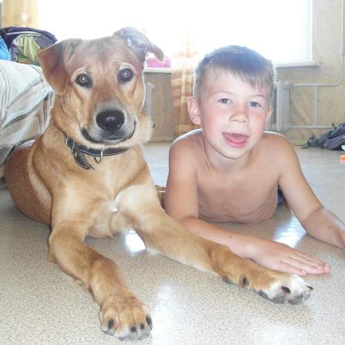 Photo #6442191