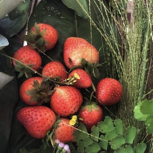 Photo #6442451