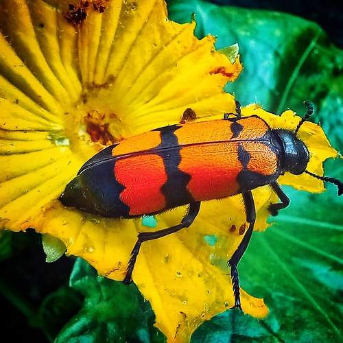 Photo #6442520