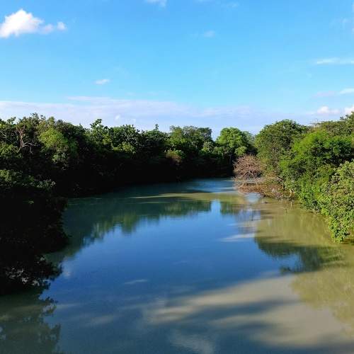 Photo #6442521