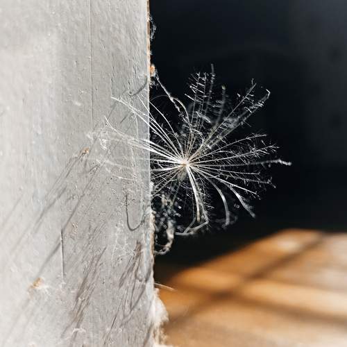 Photo #6442630