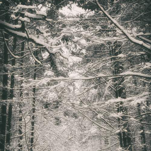 Photo #6442749