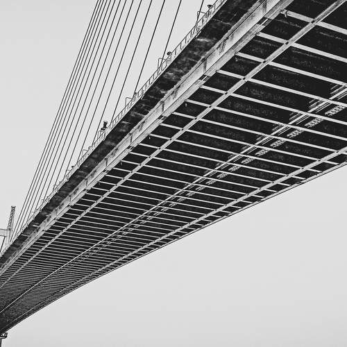 Bridge that Connects
