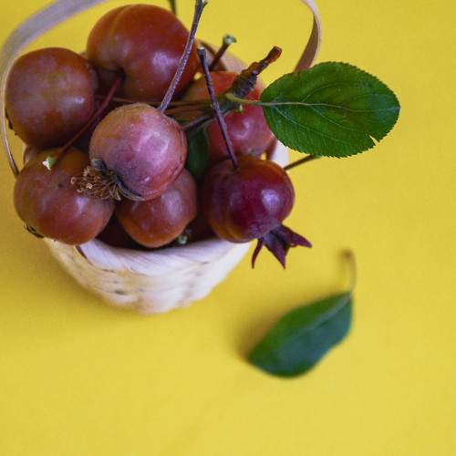 Photo #6443324