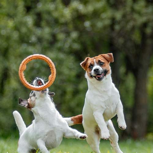 Photo #6443338