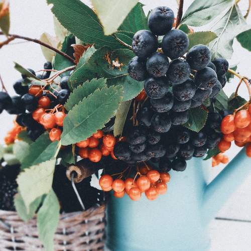 Photo #6443857
