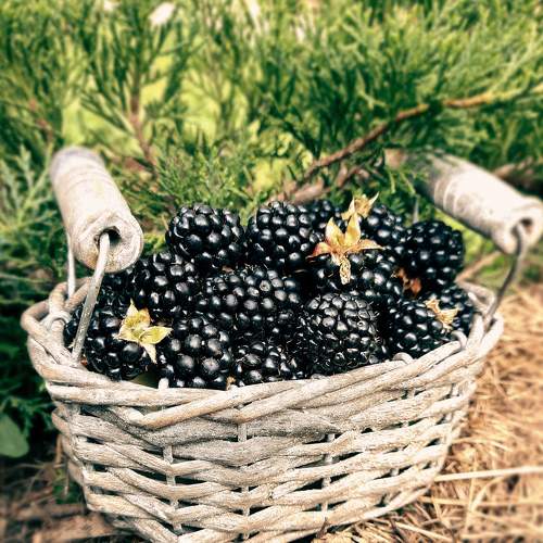 Photo #6443863