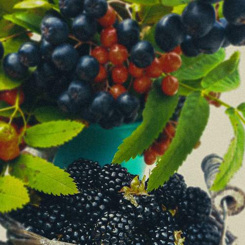 Photo #6443873