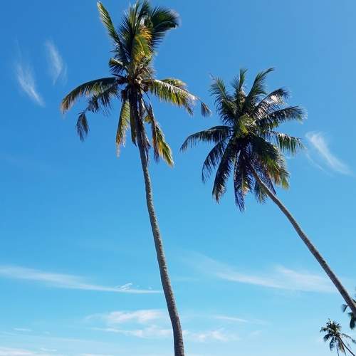 the beach