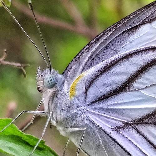 Photo #6444203