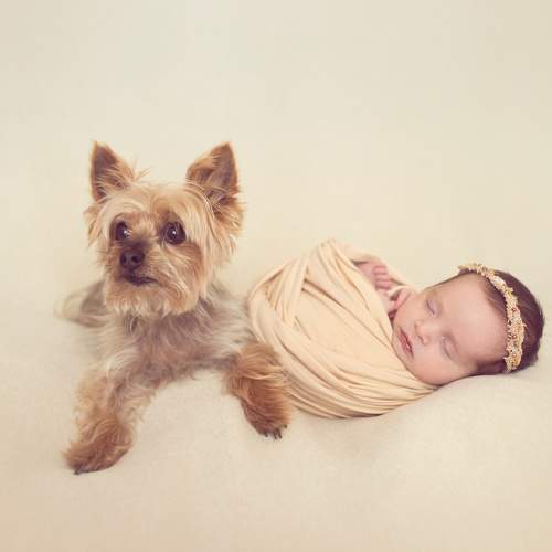 Photo #6444208