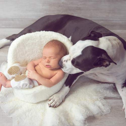 Photo #6444213