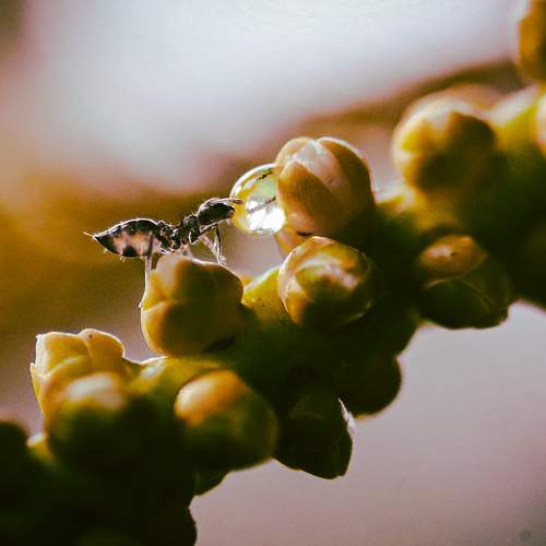 Photo #6444397
