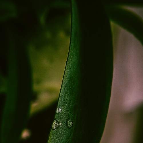Photo #6444398