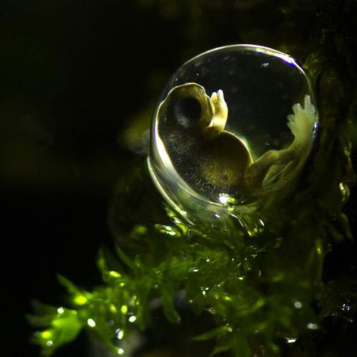Photo #6444781