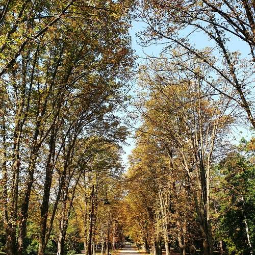 Photo #6444783
