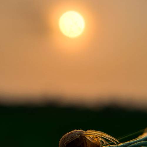 Photo #6444787