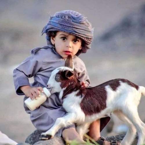Photo #6444818