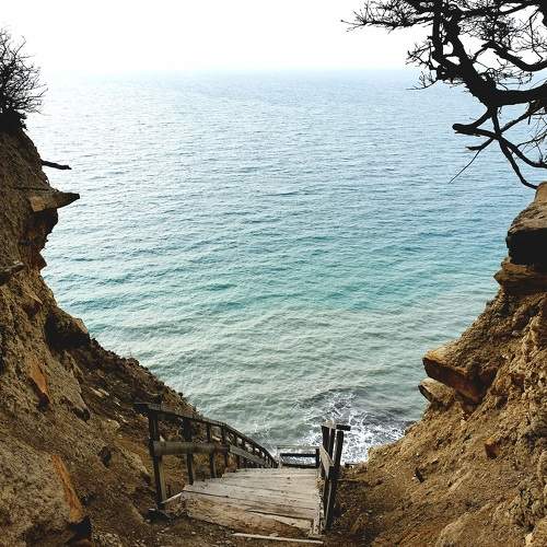 Photo #6444824