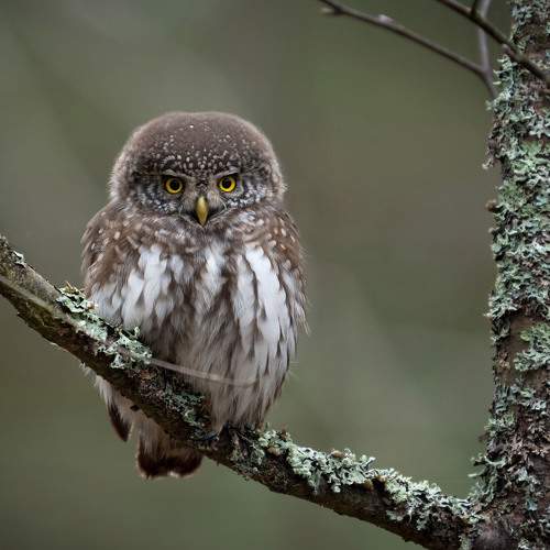 Photo #6444915