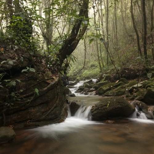 Photo #6445260