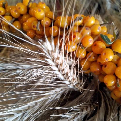 Photo #6445377