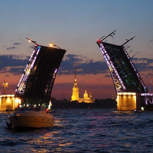 Photo #6445412