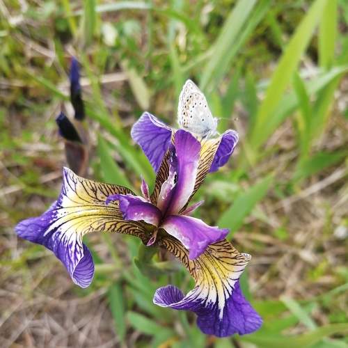 Photo #6445751