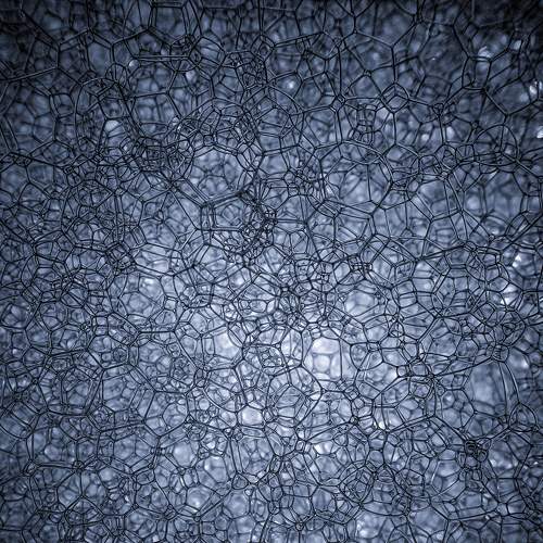 Photo #6446132
