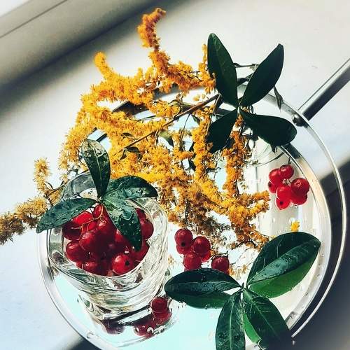 Belarusian berries