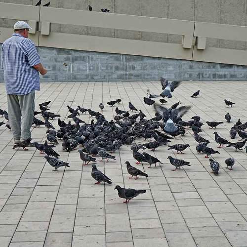 Photo #6446508
