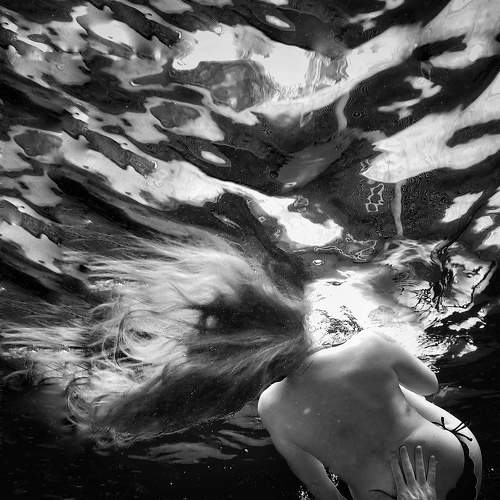 Photo #6446542