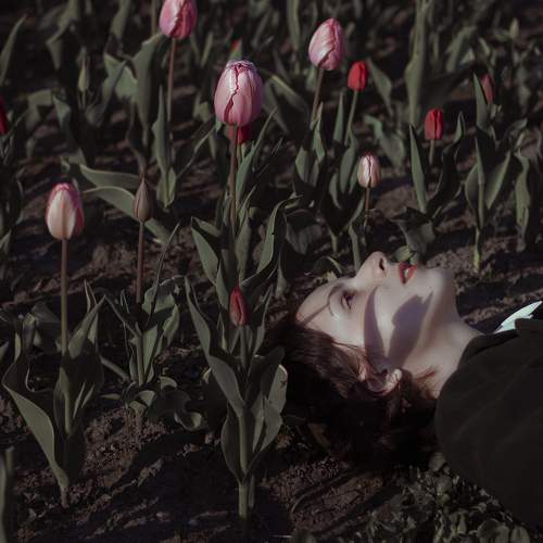 Photo #6446638