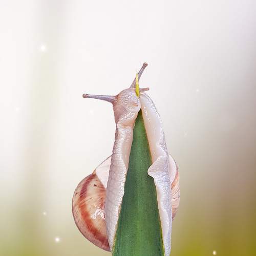 Photo #6446924