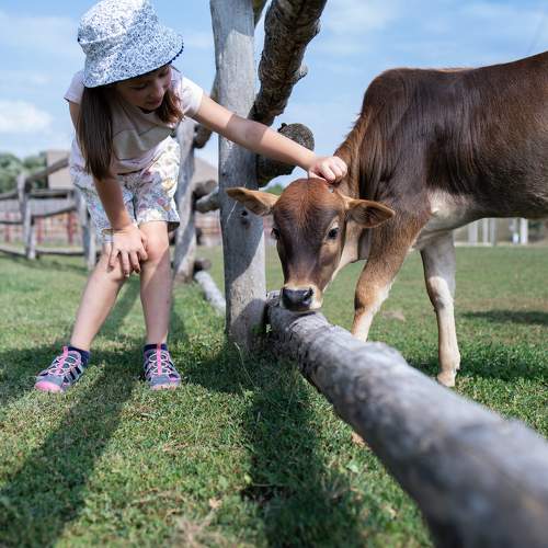 Photo #6447296