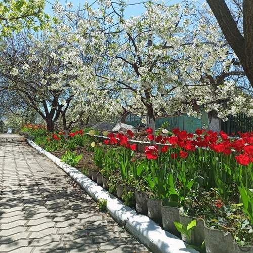 Доброе утро / Good morning